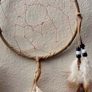 St. Joseph's Lakota Sioux Native American Legend Of The Dreamcatcher